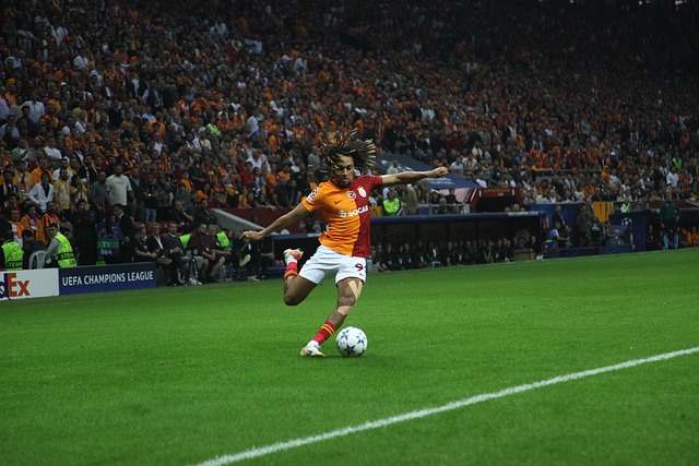 验着教练的 验着教练的