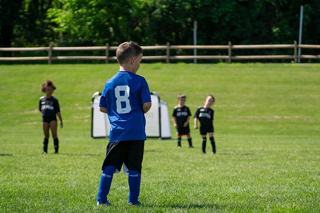 目的可持续 目的可持续