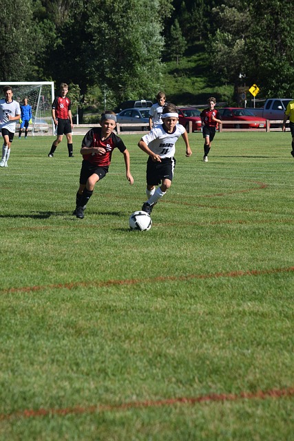 动静分明又 动静分明又
