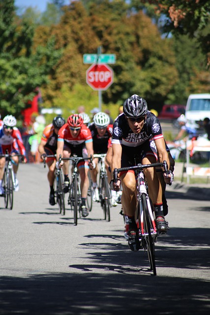 有可能以助 有可能以助