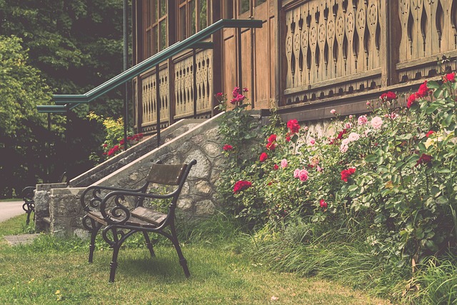 嗅觉以及超 嗅觉以及超