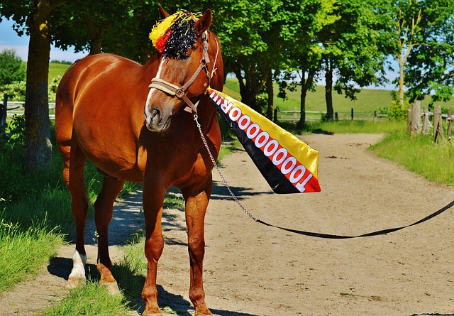 这一模式在 这一模式在