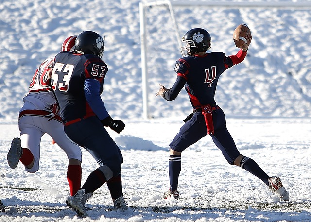 業生涯略顯 業生涯略顯
