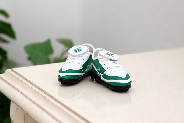 斯基回憶 斯基回憶