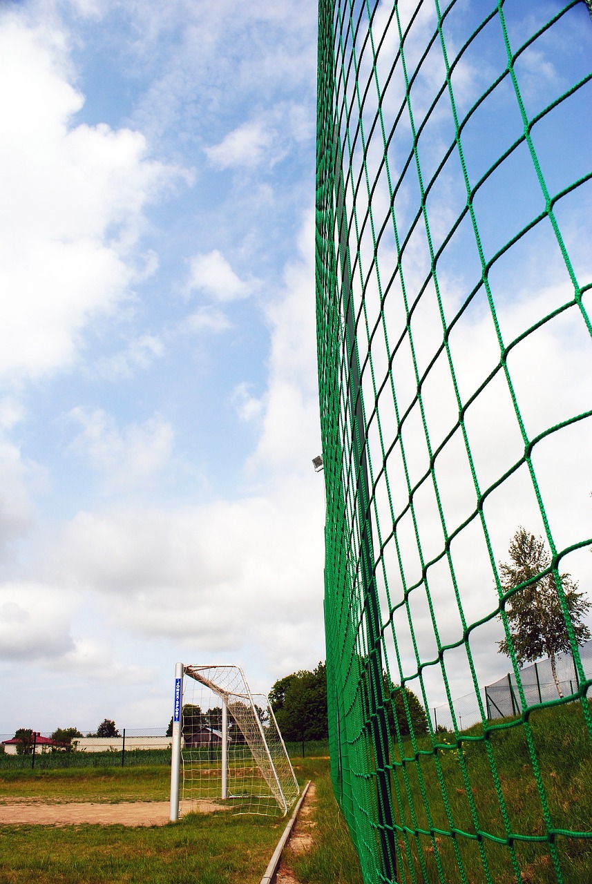 球员不仅获 球员不仅获