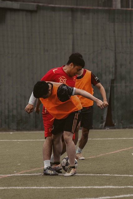 绽放其光彩 绽放其光彩